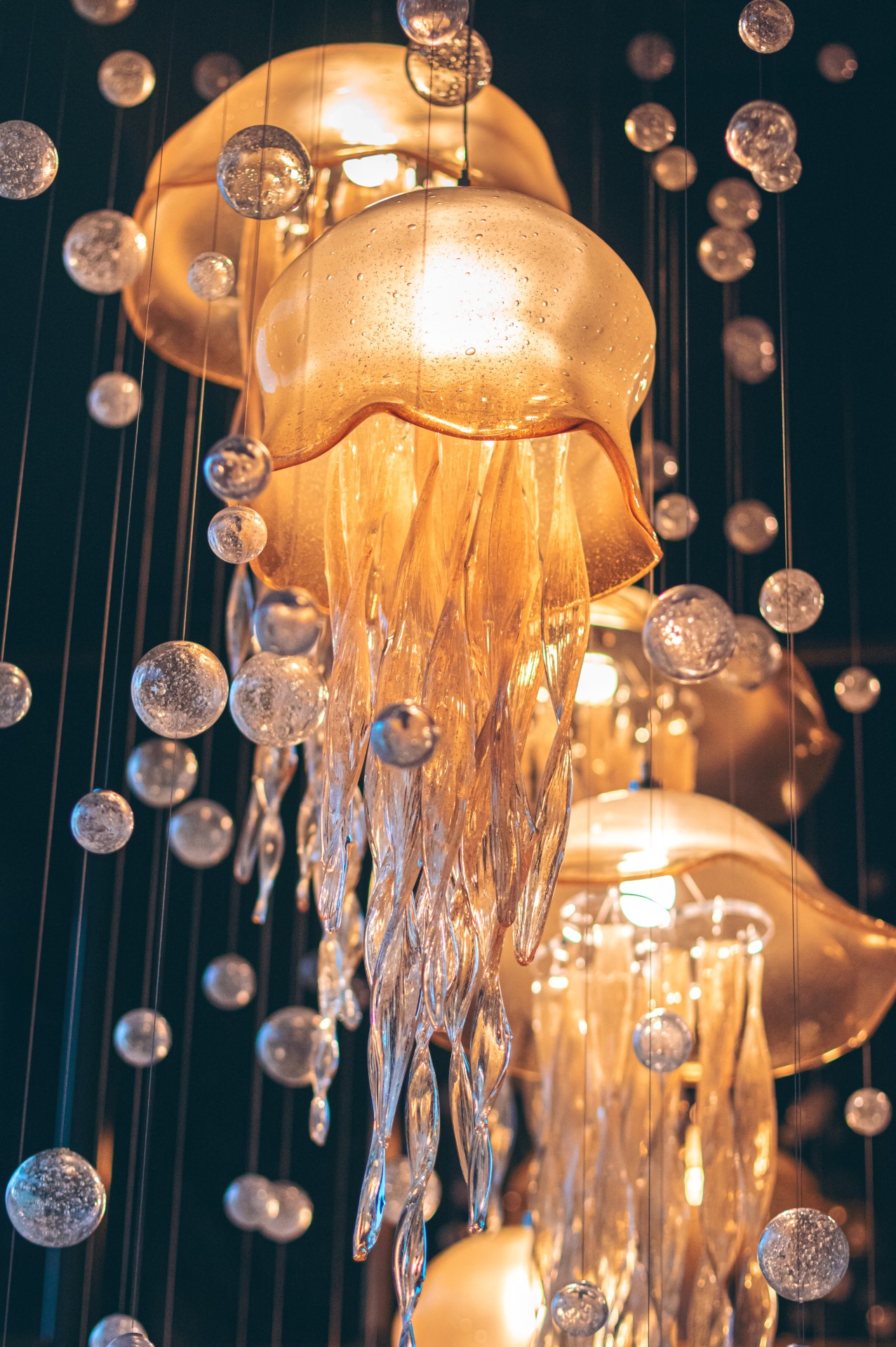 Blown glass jellyfish chandelier | Blown design